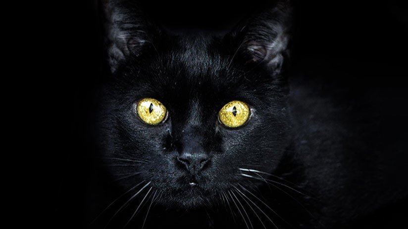 ¿Qué se esconde detrás de las barras? Una nueva ilusión óptica divide opiniones en la Red (FOTO)