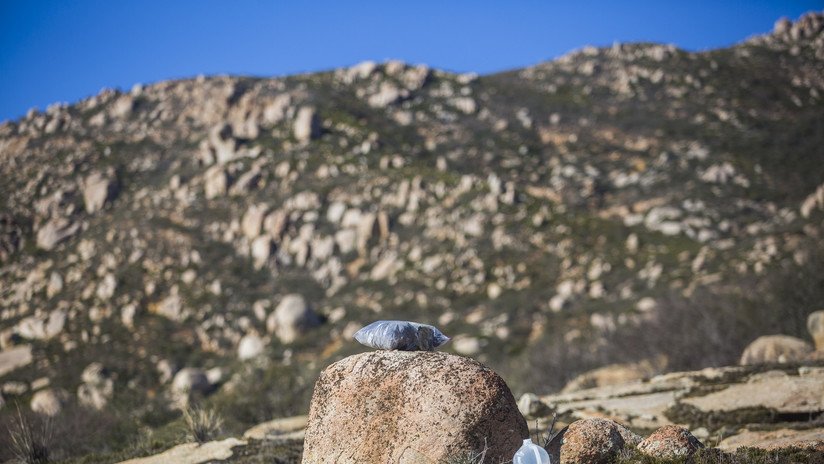 Cuatro mujeres, culpables de varios delitos en EE.UU. por dejar agua para migrantes en el desierto