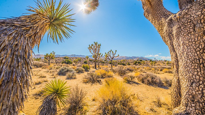 Advierten que el clima podría alcanzar un punto de no retorno para el año 2060