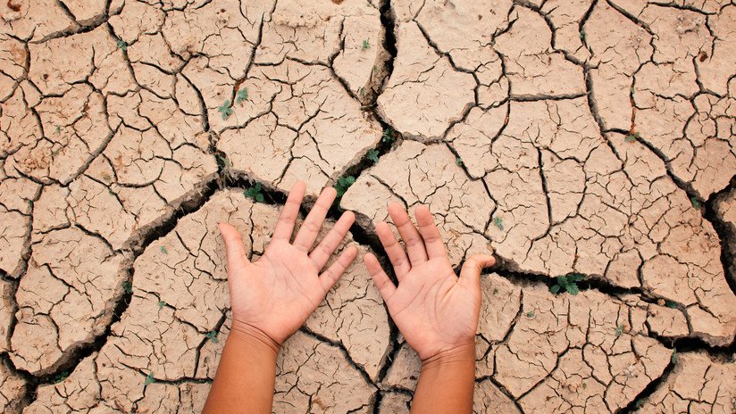 Qué tienen en común las tres pandemias globales que nos amenazan