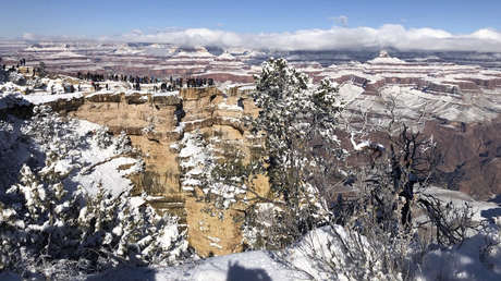 Fotos y videos "mágicos" muestran cómo nevadas tiñen de blanco los desiertos de Arizona