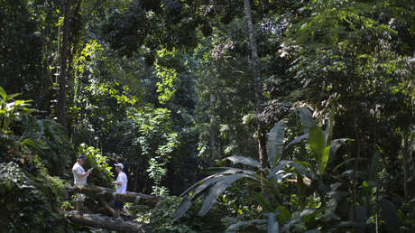 Tres hombres armados con cuchillos y un revolver roban a 40 turistas en Río de Janeiro