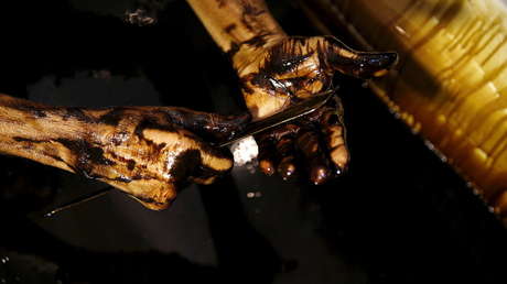 "El mercado bursátil se fue al infierno y encontró que el sector energético ya se había mudado allí"