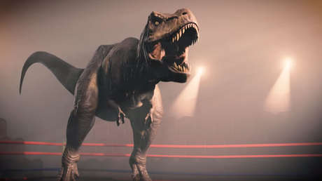 VIDEO: Pequeña ave de las Galápagos tiene una mordida 320 veces más fuerte que el T. Rex