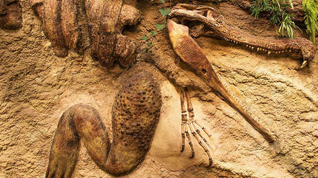 FOTOS: Cientos de personas rinden homenaje a un cocodrilo muy 'comprensivo' que murió a los 130 años