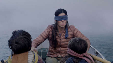 "Un resultado predecible": Intenta el reto de 'Bird Box', se venda los ojos y choca su auto (FOTOS)