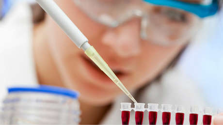 Identifican una especie de homínido desconocida (gracias a la inteligencia artificial)