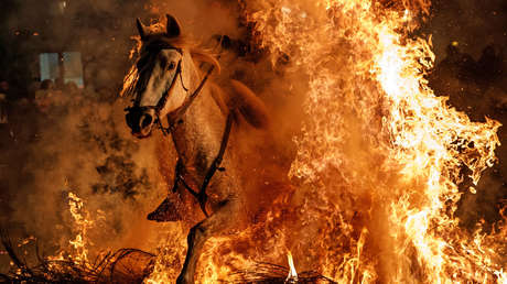 Caballos y fuego, los protagonistas de la antigua tradición española de las Luminarias