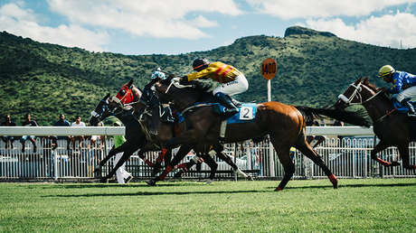 VIDEO: Un jinete es lanzado hacia adelante por su caballo pero se rehace y gana la carrera