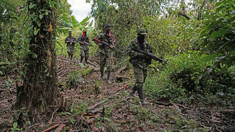 Venezuela ratifica que "no existen indicios de la presencia del ELN" en su territorio