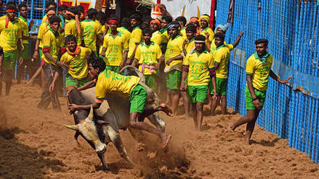 Un toro le arranca la ropa interior a un hombre frente a miles de personas