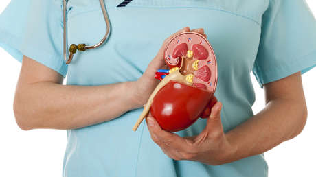 Un niño tiene su riñón en la pierna por una rara mutación genética y sorprende a los médicos