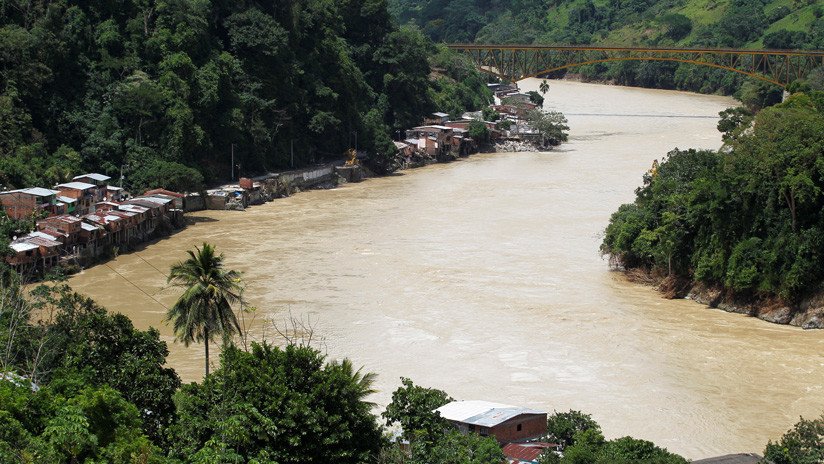 'Ecocidio' en Colombia: Mueren cientos de peces del río Cauca por culpa de una empresa estatal (FOTOS, VIDEOS)