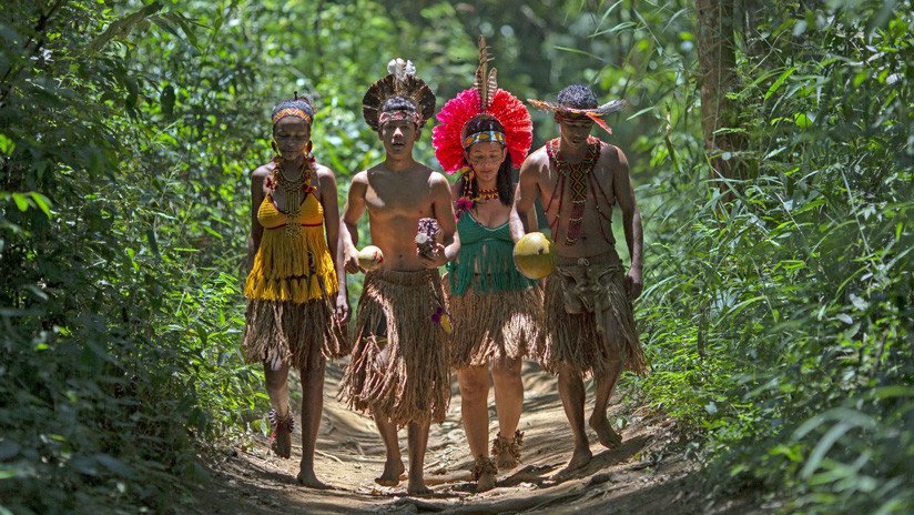 Por qué Brasil es el país del mundo con mayor número de asesinatos por conflictos rurales