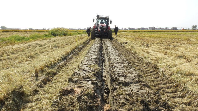 China creará áreas cultivables resistentes a sequías e inundaciones que superarán el tamaño de España