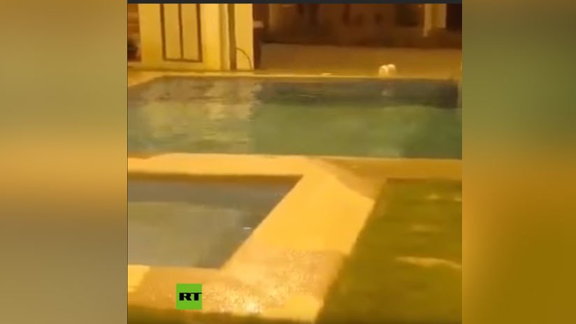 PRIMERAS IMÁGENES: El momento exacto en que un fuerte sismo y sus réplicas sacuden Ecuador