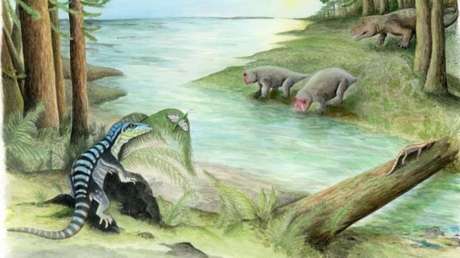 ¿Bosques y ríos en la Antártida?: Hallan un fósil que reescribe la historia del continente helado