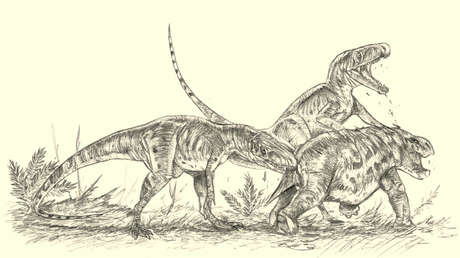 Un dinosaurio parecido al T.Rex aplastaba los huesos de sus presas como una hiena
