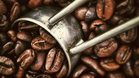 ¿Receta del café ideal? Científicos descubren cómo mejorar su sabor y olor