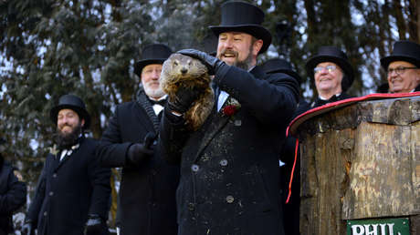 VIDEO: La marmota Phil 'predice' temprana llegada de la primavera a EE.UU.