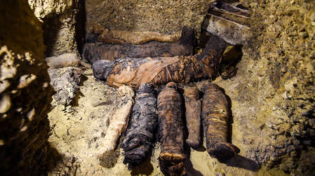 VIDEO, FOTOS: Descubren en Egipto una necrópolis con más de 40 momias del período helenístico en perfecto estado de conservación