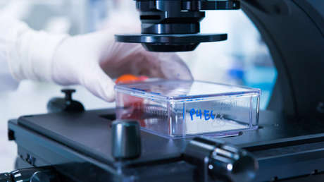 El tratamiento israelí que busca acabar con el cáncer el próximo año