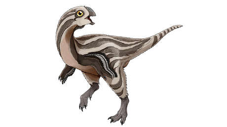 Descubren una nueva especie de dinosaurio sin dientes, que se alimentaba de huevos