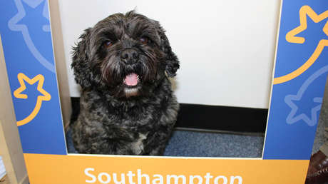 Los ladridos de un perro despiertan a su amo del coma inducido