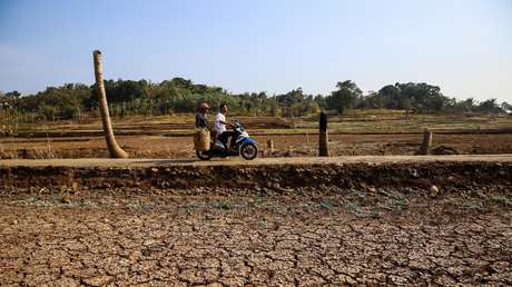 El cambio climático puede provocar un "colapso incontrolable" comparable a la crisis financiera