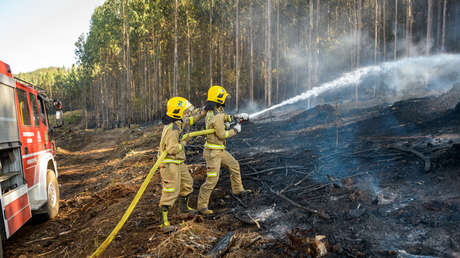 VIDEO, FOTOS: Autoridades evacúan zonas pobladas de Chile ante los voraces incendios