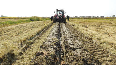 China creará áreas cultivables resistentes a sequías e inundaciones que superarán el tamaño de España