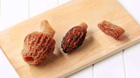 España: Una mujer muere horas después de comer setas tóxicas en un restaurante con estrella Michelin