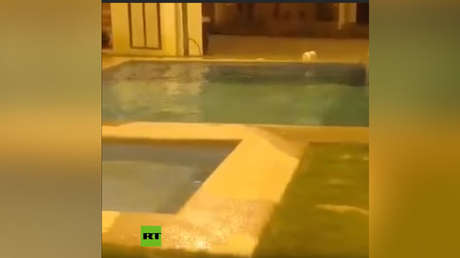 PRIMERAS IMÁGENES: El momento exacto en que un fuerte sismo y sus réplicas sacuden Ecuador