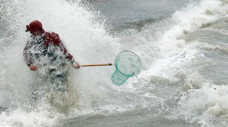 VIDEO, FOTO: Una tormenta provoca que Malta quede 'inundada' de peces