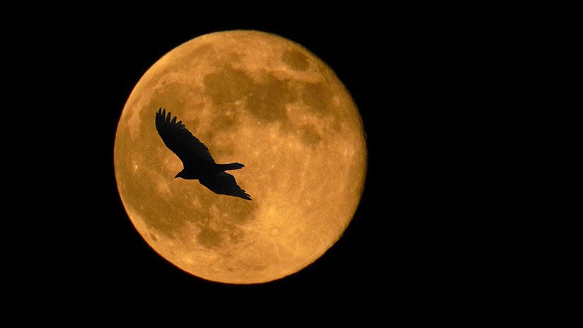 VIDEO: Llega la última 'superluna' de 2019