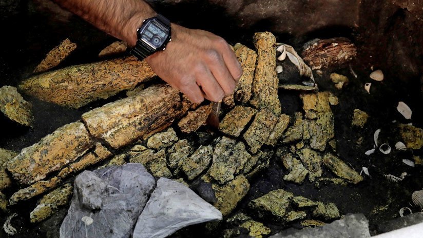 FOTOS: Una ofrenda de guerra hallada en un templo mexicano podría acercarnos a la tumba de un emperador azteca
