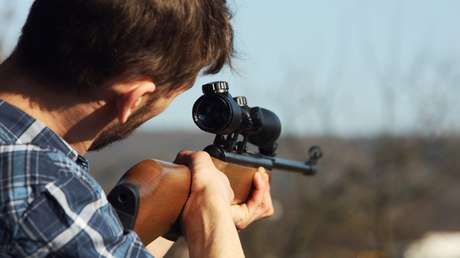 Uno de cada cuatro animales silvestres muere a manos del hombre