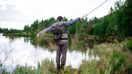 FOTO: Descubren a qué especie pertenece el pez 'alienígena' hallado en Australia