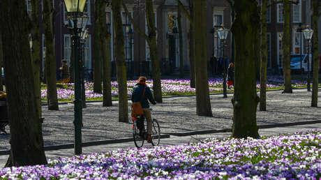 La bicicleta eléctrica será "la nueva normalidad" en el país de los pedales