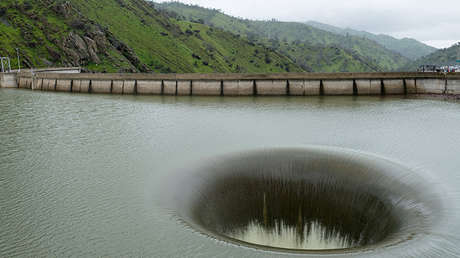 VIDEO: Un pájaro es tragado por un enorme pozo acuático y sobrevive