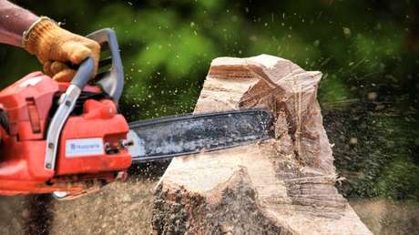 Una joven se amputa la mano con una sierra para cobrar 1,4 millones de dólares del seguro