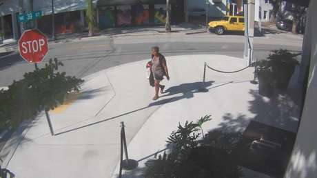 Detienen a una mujer en Miami por tratar de secuestrar a un niño en una galería de arte (VIDEO)