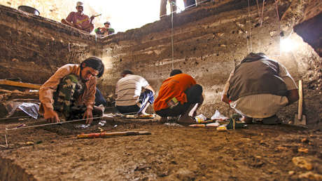 El tamaño de las ratas podría echar luz sobre el destino del extinto 'hobbit' humano (FOTOS)