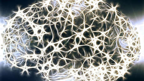 Científicos cultivan un 'mini cerebro' humano capaz de enviar impulsos para contraer músculos