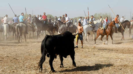 Adiós definitivo al Toro de la Vega: La Justicia española tumba el último recurso