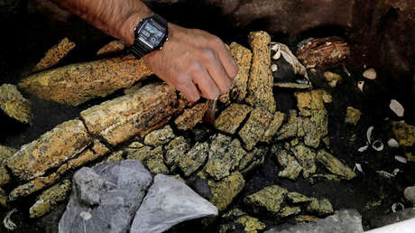 FOTOS: Una ofrenda de guerra hallada en un templo mexicano podría acercarnos a la tumba de un emperador azteca