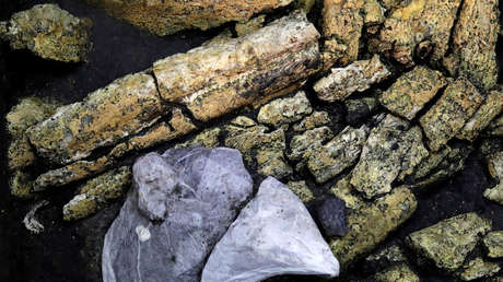 FOTO: Científicos de Japón descubren las rocas más antiguas del país