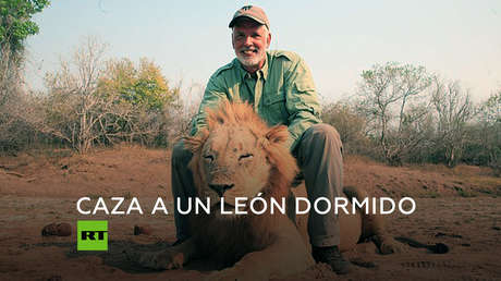 Un cazador mata a un león que dormía