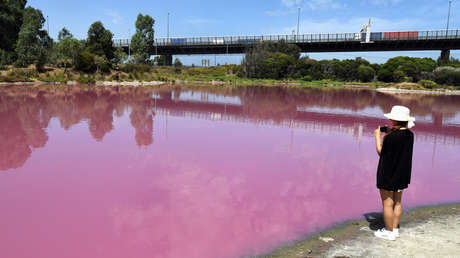 FOTOS: Un lago de Australia se torna rosado hasta encandilar a sus visitantes