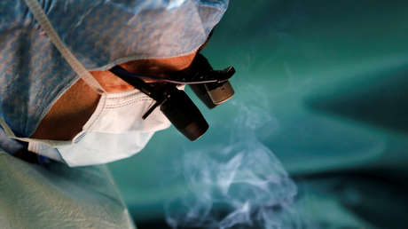 Neurocirujanos que aspiran a lograr un trasplante de cabeza reparan con éxito la médula espinal de varios perros